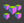GST-Icon-ShowModelinAllME-24
